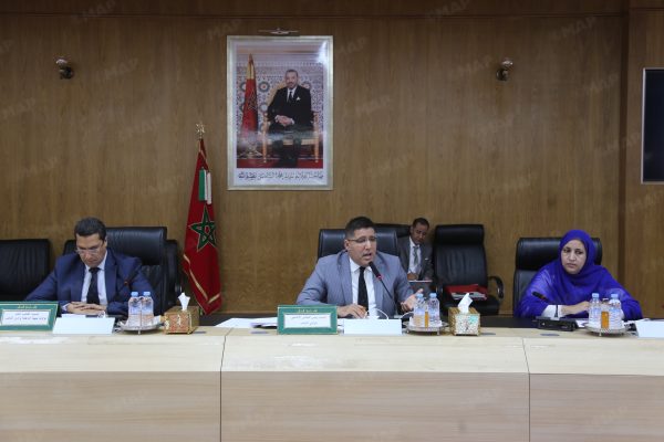 El Consejo Provincial de Oued Eddahab aprueba nuevos proyectos para impulsar el desarrollo económico, social y medioambiental de Dajla